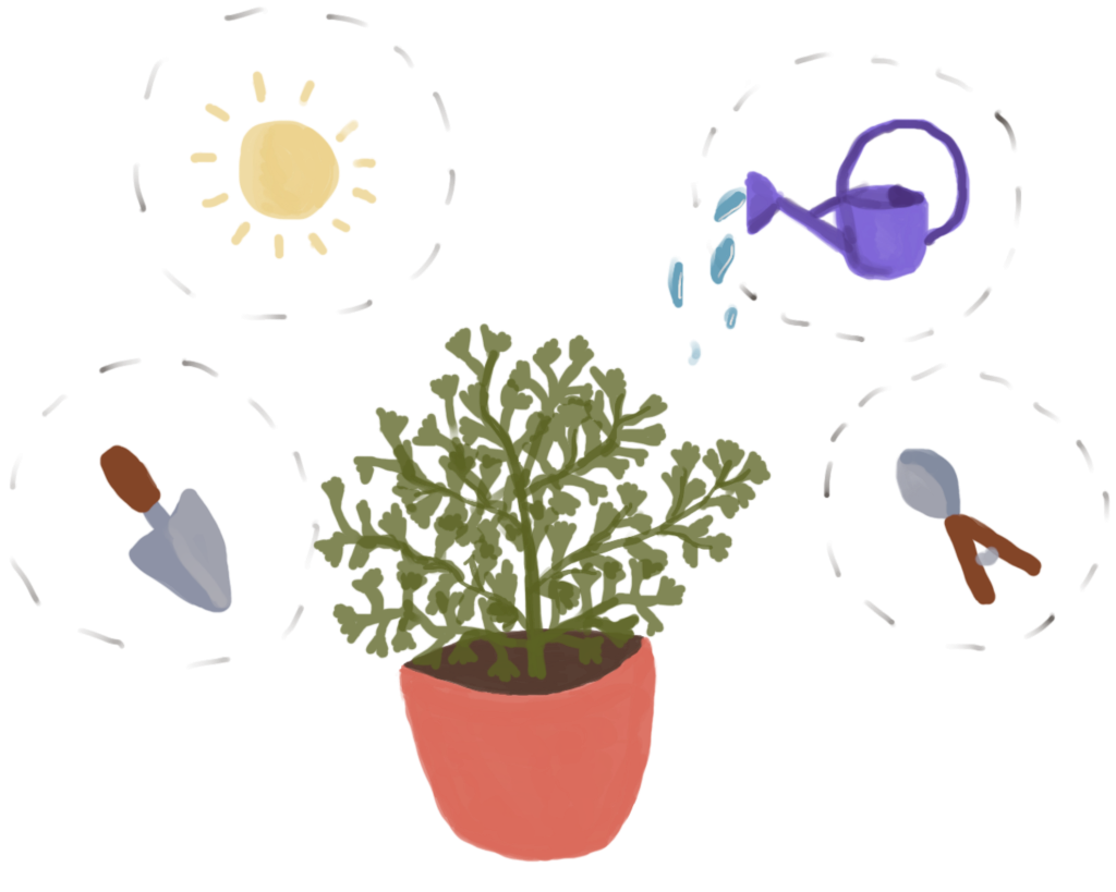 Ecozzie-gardening-traker